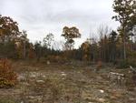85+/- Acres - (4) Parcels - Bucksport, Maine Auction Photo