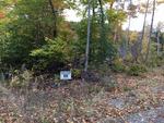 85+/- Acres - (4) Parcels - Bucksport, Maine Auction Photo