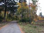 85+/- Acres - (4) Parcels - Bucksport, Maine Auction Photo