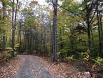 85+/- Acres - (4) Parcels - Bucksport, Maine Auction Photo