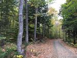 85+/- Acres - (4) Parcels - Bucksport, Maine Auction Photo