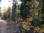 313+/- Acres - (11) Parcels - Orrington, Maine Auction Photo