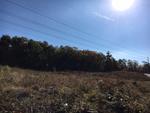 313+/- Acres - (11) Parcels - Orrington, Maine Auction Photo