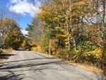 313+/- Acres - (11) Parcels - Orrington, Maine Auction Photo