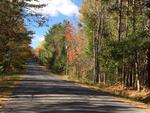 313+/- Acres - (11) Parcels - Orrington, Maine Auction Photo