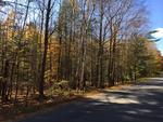 313+/- Acres - (11) Parcels - Orrington, Maine Auction Photo