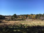 313+/- Acres - (11) Parcels - Orrington, Maine Auction Photo