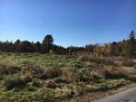 313+/- Acres - (11) Parcels - Orrington, Maine Auction Photo