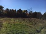 313+/- Acres - (11) Parcels - Orrington, Maine Auction Photo