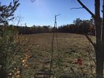 313+/- Acres - (11) Parcels - Orrington, Maine Auction Photo