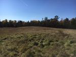 313+/- Acres - (11) Parcels - Orrington, Maine Auction Photo