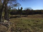 313+/- Acres - (11) Parcels - Orrington, Maine Auction Photo