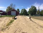 313+/- Acre Farm w/Barns - 2015 Custom Home w/10+/- Acres Auction Photo