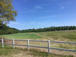 313+/- Acre Farm w/Barns - 2015 Custom Home w/10+/- Acres Auction Photo