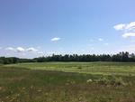 Parcel 1 - Farm Auction Photo