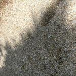 2,720+/-SF Custom Waterfront Home - 2+/- AC - 200+/- Shorefront on Perry Cove  Auction Photo