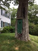 5BR Antique Colonial - Barn - 4.4+/- Acres Auction Photo