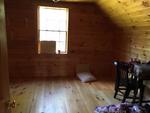 3BR Live Edge Sided Cape Style Cottage - 3.47+/-Acres Auction Photo