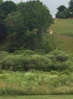 2,658+/-SF Garage  13.56+/- AC - Former G.O. Tubing, Inc./G.O. Zipping Park  Auction Photo