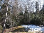 2BR Saltbox Style Home - Fireplace - Gardens - 2.8+/- Acres Auction Photo