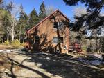 2BR Saltbox Style Home - Fireplace - Gardens - 2.8+/- Acres Auction Photo