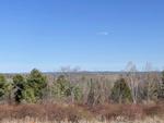 38-Lot Subdivision - The Meadows at Fieldstone Landing Auction Photo