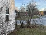 Waterfront Colonial Home - Post & Beam Barn - Apartment  Auction Photo