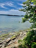 7.8+/- Acre Waterfront Home Site - Middle Bay Auction Photo