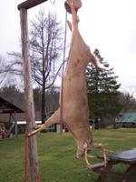 Riverfront Sporting Lodge & Cabins ~ Bowlin Camps Lodge Auction Photo