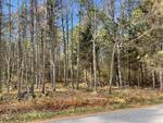 7.08+/- Acre Residential Land Parcel Cranberry Ridge Auction Photo