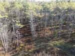 7.08+/- Acre Residential Land Parcel Cranberry Ridge Auction Photo