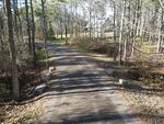 7.08+/- Acre Residential Land Parcel Cranberry Ridge Auction Photo