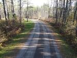 7.08+/- Acre Residential Land Parcel Cranberry Ridge Auction Photo